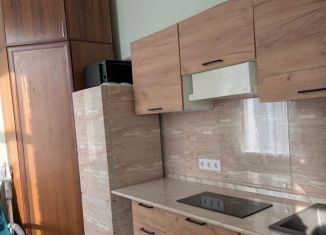 Сдается квартира студия, 20 м2, Москва, Нижняя Первомайская улица, 47, метро Щёлковская