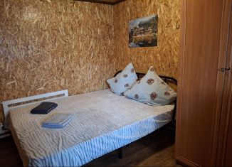 Сдача в аренду комнаты, 35 м2, село Артыбаш, Телецкая улица, 13