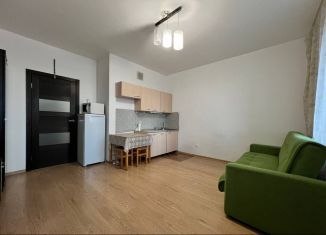 Продается квартира студия, 24 м2, Кудрово, Столичная улица, 5к2