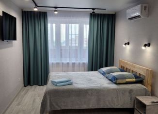 Однокомнатная квартира в аренду, 45 м2, Псков, Гдовская улица, 24