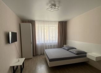 1-комнатная квартира в аренду, 36 м2, Новосибирск, улица Романтиков, 20