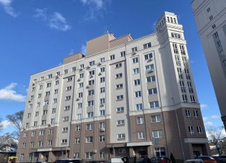 Продажа квартиры студии, 21 м2, Нижний Новгород, метро Буревестник, Московское шоссе, 167к4