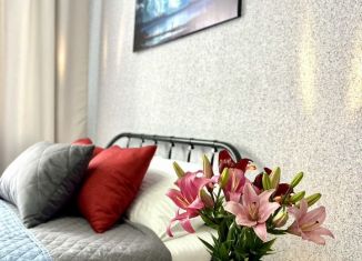 Сдаю однокомнатную квартиру, 43 м2, Омск, посёлок Биофабрика, 18к1