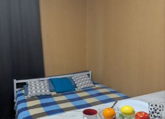 Сдам квартиру студию, 30 м2, Санкт-Петербург, Арцеуловская аллея, 19