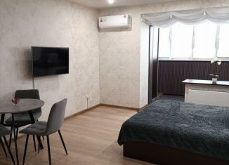 Сдам квартиру студию, 29 м2, Псков, Инженерная улица, 118, ЖК Пятый Элемент