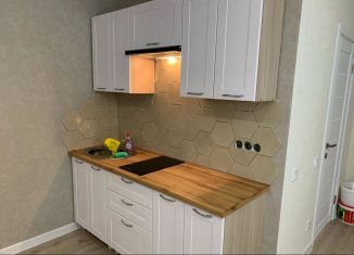 Аренда квартиры студии, 25 м2, Сыктывкар, Октябрьский проспект, 220, район Орбита