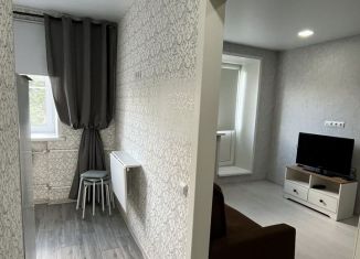 Сдача в аренду 1-ком. квартиры, 31.1 м2, Нижний Новгород, улица Максима Горького, 65А, метро Горьковская