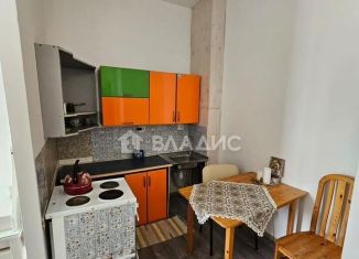 Двухкомнатная квартира на продажу, 40 м2, Мурино, Ручьёвский проспект, 17к1