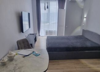 Сдам в аренду квартиру студию, 20 м2, Сочи, Ясногорская улица, 16/8к2