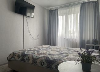 Аренда однокомнатной квартиры, 28 м2, Курганская область, Красноармейская улица, 70