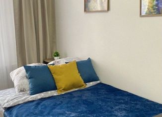 Сдается квартира студия, 25 м2, Санкт-Петербург, проспект Будённого, 21к4, муниципальный округ Сосновая Поляна