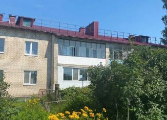 Продам 3-ком. квартиру, 58.5 м2, деревня Добрунь, Юбилейная улица, 19