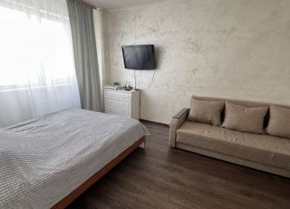 Сдается в аренду 1-комнатная квартира, 33 м2, Ульяновск, проспект Ливанова, 8
