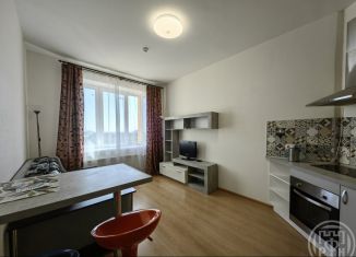 Квартира на продажу студия, 23 м2, деревня Новое Девяткино, Капральская улица, 15, ЖК Озёрный