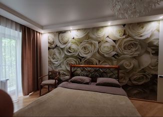 Сдача в аренду квартиры студии, 50 м2, Элиста, улица Илишкина, 3