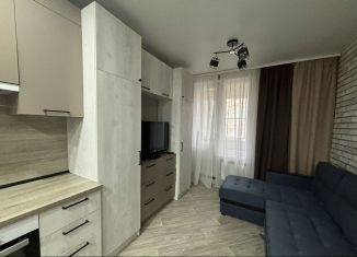 Сдача в аренду квартиры студии, 23 м2, Тамбов, Свободная улица, 4к1, ЖК Грин Тауэр