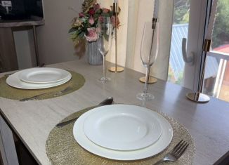 Сдаю 1-ком. квартиру, 20 м2, Долгопрудный, улица Лизы Чайкиной, 14/15