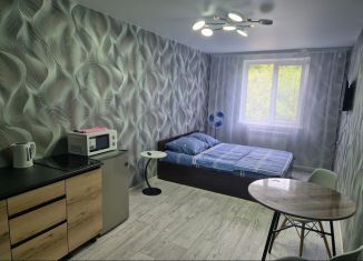 Аренда квартиры студии, 30 м2, Томск, Петропавловская улица, 1/2