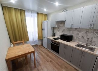Сдача в аренду 1-ком. квартиры, 40 м2, Нижний Новгород, улица Максима Горького, 146, метро Горьковская