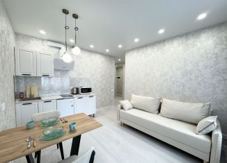 Сдаю однокомнатную квартиру, 34.8 м2, Республика Башкортостан, улица Рудольфа Нуреева, 7