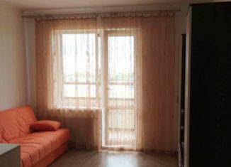 Сдаю квартиру студию, 25 м2, Санкт-Петербург, проспект Ветеранов, 169к2, муниципальный округ Сосновая Поляна