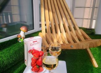 Аренда квартиры студии, 43 м2, Карелия, улица Фурманова, 20