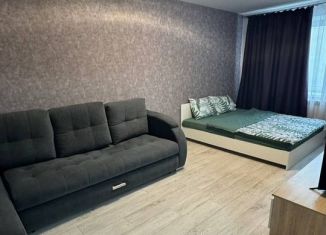 Сдается в аренду 1-ком. квартира, 40 м2, Йошкар-Ола, улица Петрова, 26, микрорайон Мирный