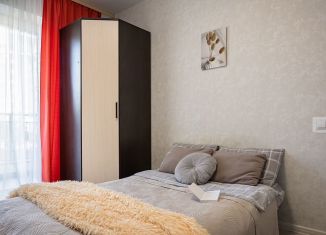 Сдача в аренду 1-комнатной квартиры, 32 м2, Новосибирск, улица Фрунзе, 252/1