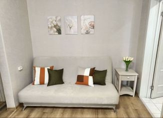 Сдается в аренду 1-ком. квартира, 28 м2, Тверь, Петербургское шоссе, 51