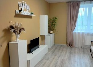 Сдается в аренду 1-ком. квартира, 37 м2, Череповец, Устюженская улица, 14