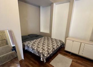 Сдам квартиру студию, 38 м2, Санкт-Петербург, Подольская улица, 27