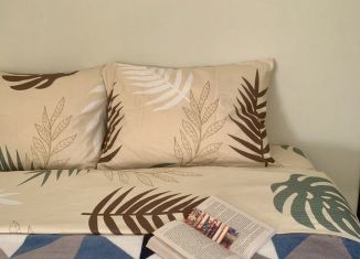 Сдача в аренду квартиры студии, 31 м2, Карелия, проспект Ленина, 10