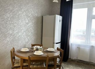 Аренда двухкомнатной квартиры, 46 м2, Новгородская область, Октябрьская улица, 10