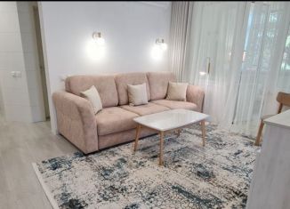 Продажа 2-ком. квартиры, 41.3 м2, Сочи, улица Плеханова, 32, микрорайон Мамайка