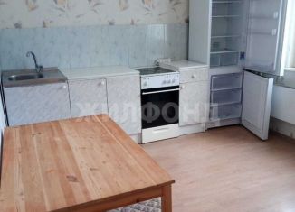 Сдается 2-ком. квартира, 67 м2, Новосибирск, улица Виктора Уса, 7/1