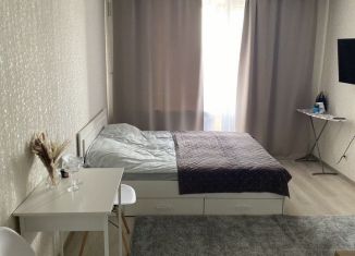 Сдам квартиру студию, 26 м2, Мурино, проспект Авиаторов Балтики, 3к1, ЖК Девятый вал