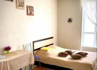 Сдаю в аренду квартиру студию, 25 м2, Тамбов, Свободная улица, 4к1, ЖК Грин Тауэр