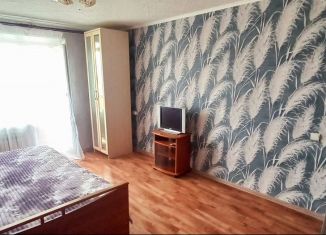 Сдача в аренду однокомнатной квартиры, 29 м2, Камчатский край, проспект Победы, 4/1