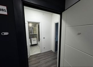 Продам квартиру студию, 24.3 м2, Санкт-Петербург, Пулковское шоссе, 95к3, Пулковское шоссе