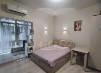 Продам квартиру студию, 33 м2, Сочи, улица Яна Фабрициуса, 2/28А, микрорайон Яна Фабрициуса