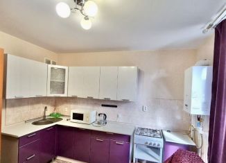 1-комнатная квартира в аренду, 40 м2, деревня Куюки, 10-й квартал, 11