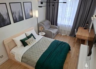 Сдается в аренду однокомнатная квартира, 36 м2, Хабаровск, Тихоокеанская улица, 129