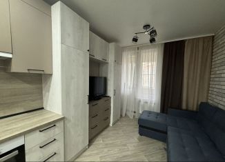 Сдам квартиру студию, 23 м2, Тамбов, Свободная улица, 4к1, ЖК Грин Тауэр