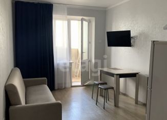 Продам квартиру студию, 22 м2, Тюмень, улица Мельникайте, 2к9, ЖК Горизонт