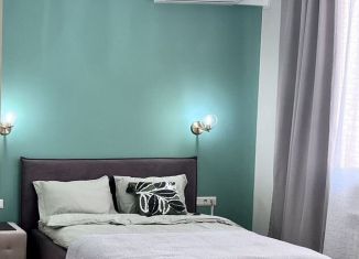 Сдам однокомнатную квартиру, 50 м2, Республика Башкортостан, улица Менделеева, 152/4