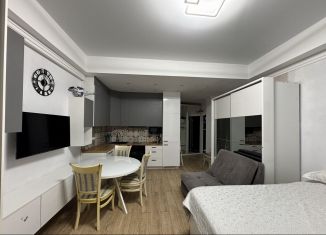 Сдаю квартиру студию, 42 м2, Сочи, улица Бытха, 41/2, микрорайон Бытха