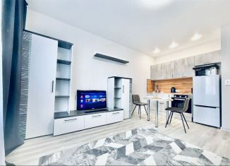 Квартира в аренду студия, 25 м2, Томск, Ново-Ачинская улица, 19