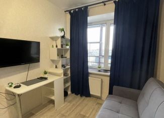 Сдается в аренду 1-ком. квартира, 33 м2, Сыктывкар, Тентюковская улица, 333, район Орбита