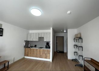 Квартира в аренду студия, 30 м2, Тюмень, улица Николая Ростовцева, 22, ЖК Видный