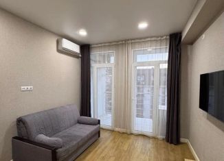 Продажа квартиры студии, 24 м2, Сочи, Клубничная улица, 62, микрорайон Новый Сочи